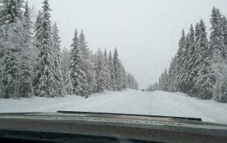Team Tundra | Navigate North | Dag 2 rendieren